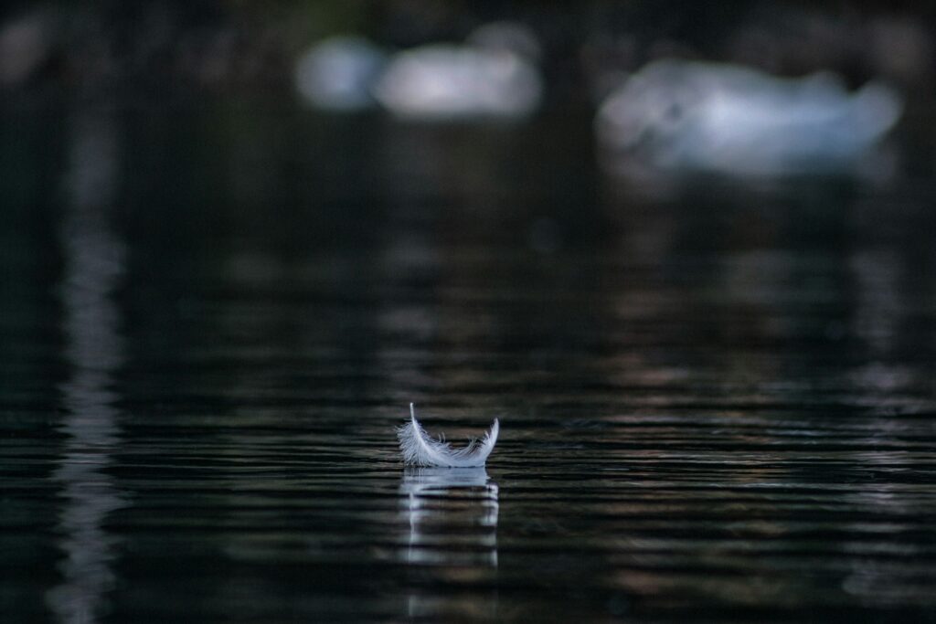 andraz-lazic-64sgR8HV_68-unsplash